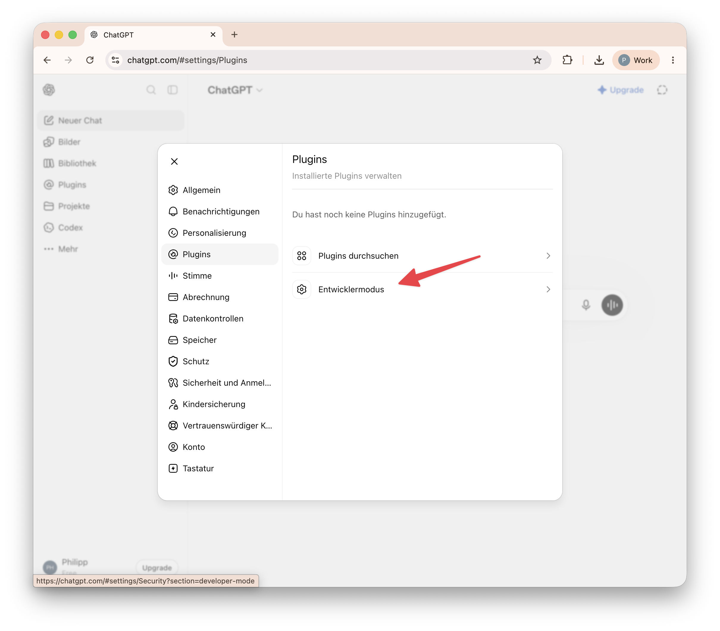 Plugin-Einstellungen mit hervorgehobener Option Entwicklermodus